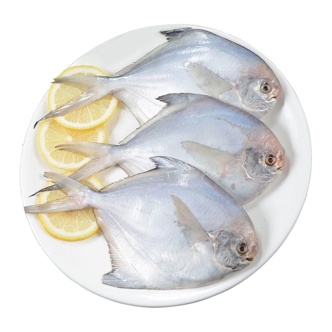 Silver Pomfret - 1Kg