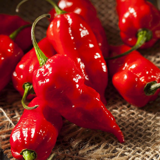 Hot Pepper - 500g