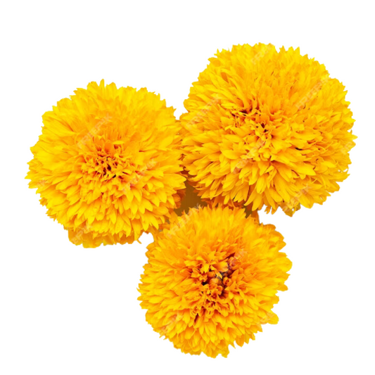Marigold Flower - 250G