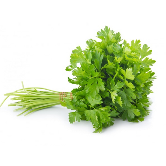 Coriander Leaves - 1 Bunch