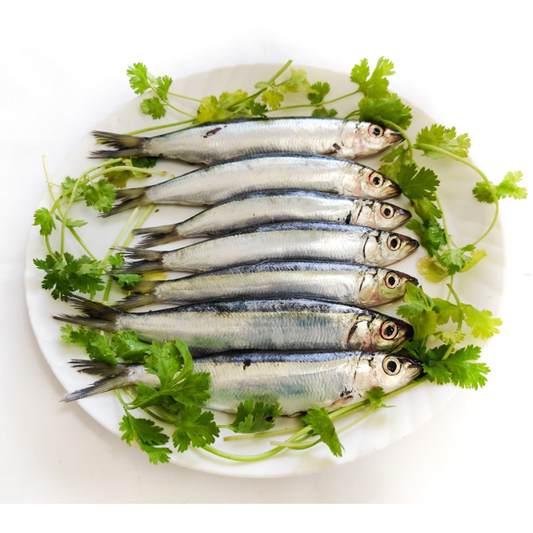 Sardine - 1Kg