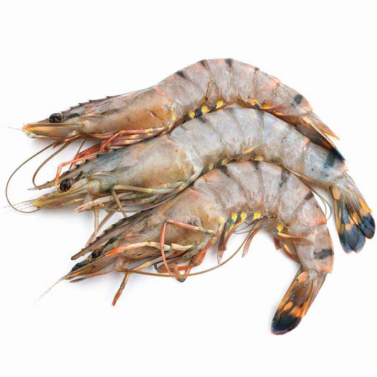 Jumbo / XXL Prawns - 1Kg
