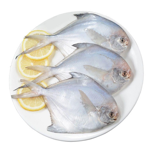Silver Pomfret - 1Kg