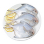 Silver Pomfret - 1Kg