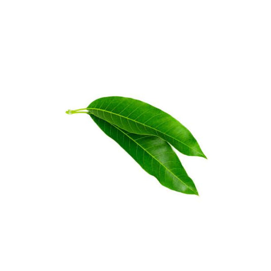 Mango leaves
