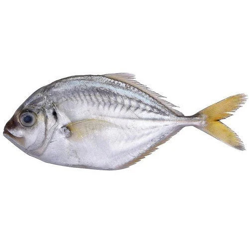 Para Fish 1 Kg